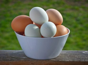 تشخیص تخم مرغ فاسد و سالم